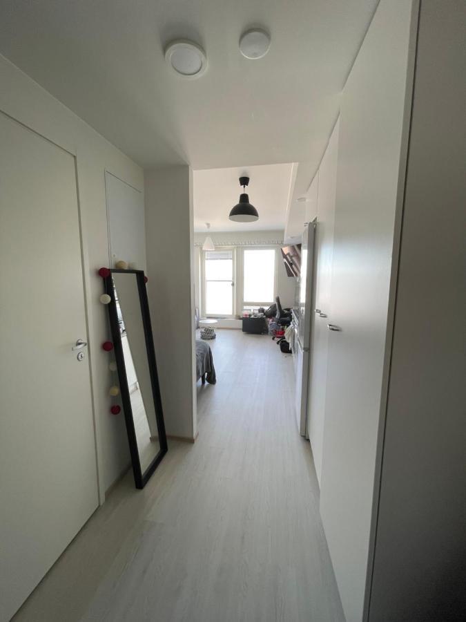 Arctic Penthouse Studio With Free Parking And High-Speed Wi-Fi 罗瓦涅米 外观 照片
