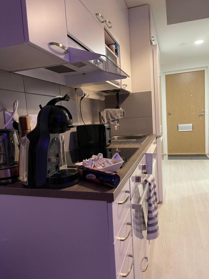 Arctic Penthouse Studio With Free Parking And High-Speed Wi-Fi 罗瓦涅米 外观 照片